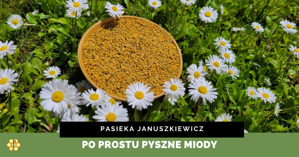Pyłek kwiatowy, a odporność